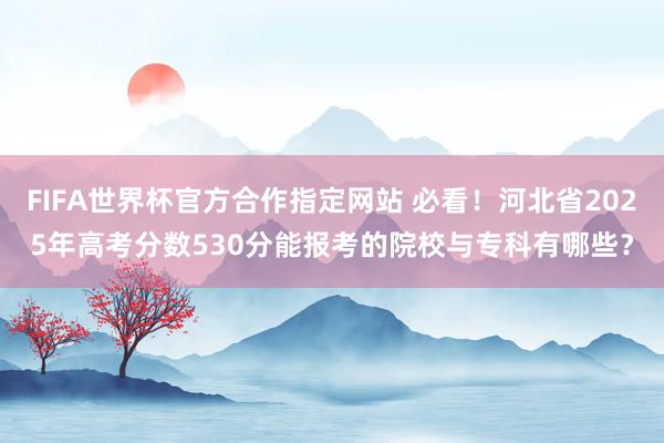 FIFA世界杯官方合作指定网站 必看！河北省2025年高考分数530分能报考的院校与专科有哪些？