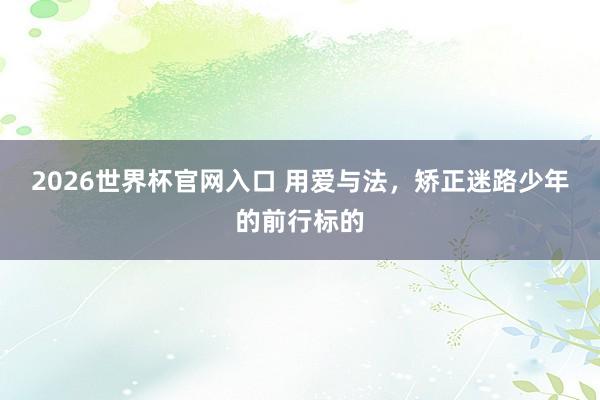 2026世界杯官网入口 用爱与法,矫正迷路少年的前行标的