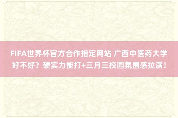 FIFA世界杯官方合作指定网站 广西中医药大学好不好?硬实力能打+三月三校园氛围感拉满!