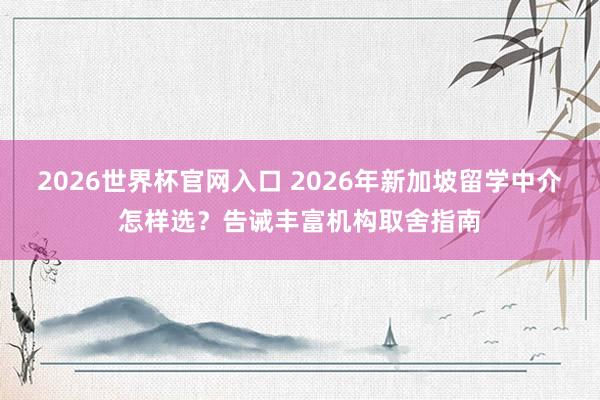 2026世界杯官网入口 2026年新加坡留学中介怎样选？告诫丰富机构取舍指南