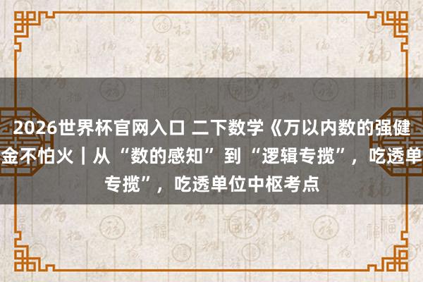2026世界杯官网入口 二下数学《万以内数的强健》专项锻真金不怕火|从 “数的感知” 到 “逻辑专揽”,吃透单位中枢考点