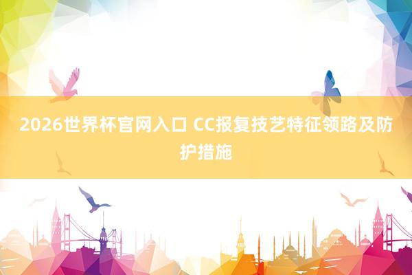 2026世界杯官网入口 CC报复技艺特征领路及防护措施
