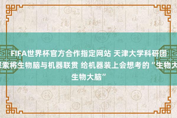 FIFA世界杯官方合作指定网站 天津大学科研团队探索将生物脑与机器联贯 给机器装上会想考的“生物大脑”