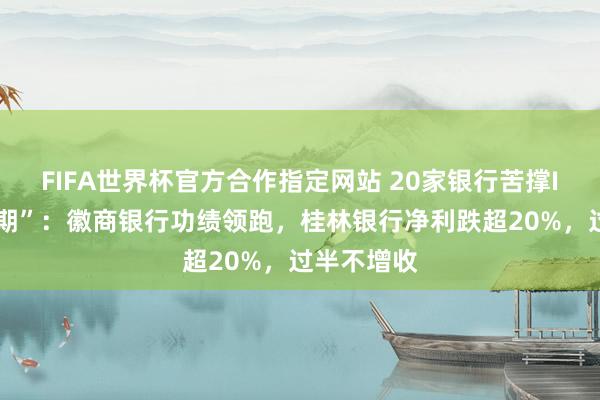 FIFA世界杯官方合作指定网站 20家银行苦撑IPO“冰封期”:徽商银行功绩领跑,桂林银行净利跌超20%,过半不增收