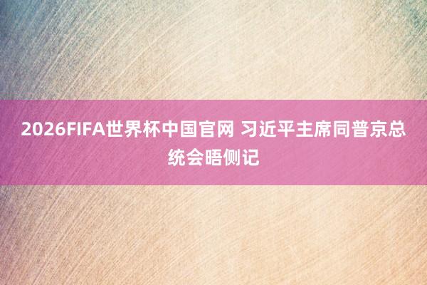 2026FIFA世界杯中国官网 习近平主席同普京总统会晤侧记