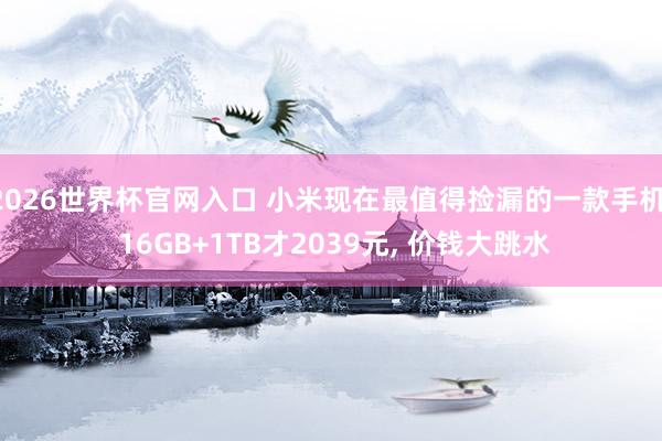 2026世界杯官网入口 小米现在最值得捡漏的一款手机, 16GB+1TB才2039元, 价钱大跳水