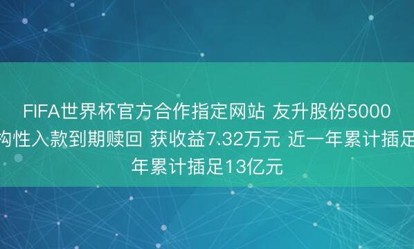 FIFA世界杯官方合作指定网站 友升股份5000万元结构性入款到期赎回 获收益7.32万元 近一年累计插足13亿元