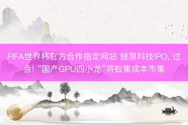 FIFA世界杯官方合作指定网站 燧原科技IPO， 过会! “国产GPU四小龙”将蚁集成本市集